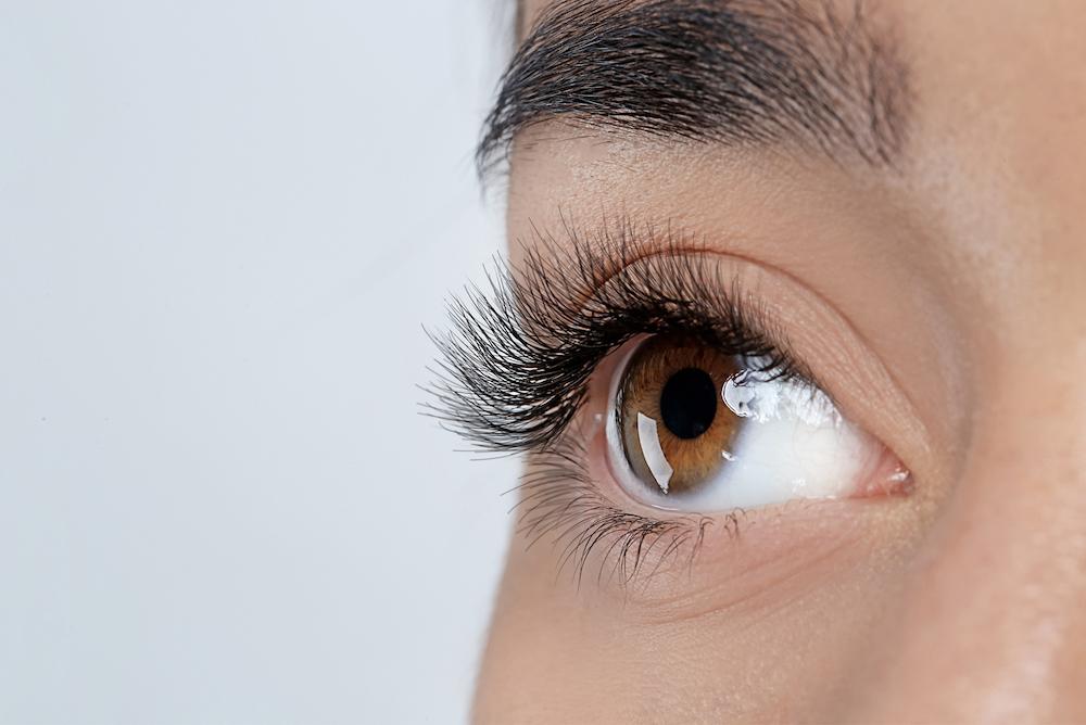 Are Mink Lashes Cruelty Free? (Plus, The Vegan Mink Alternative)